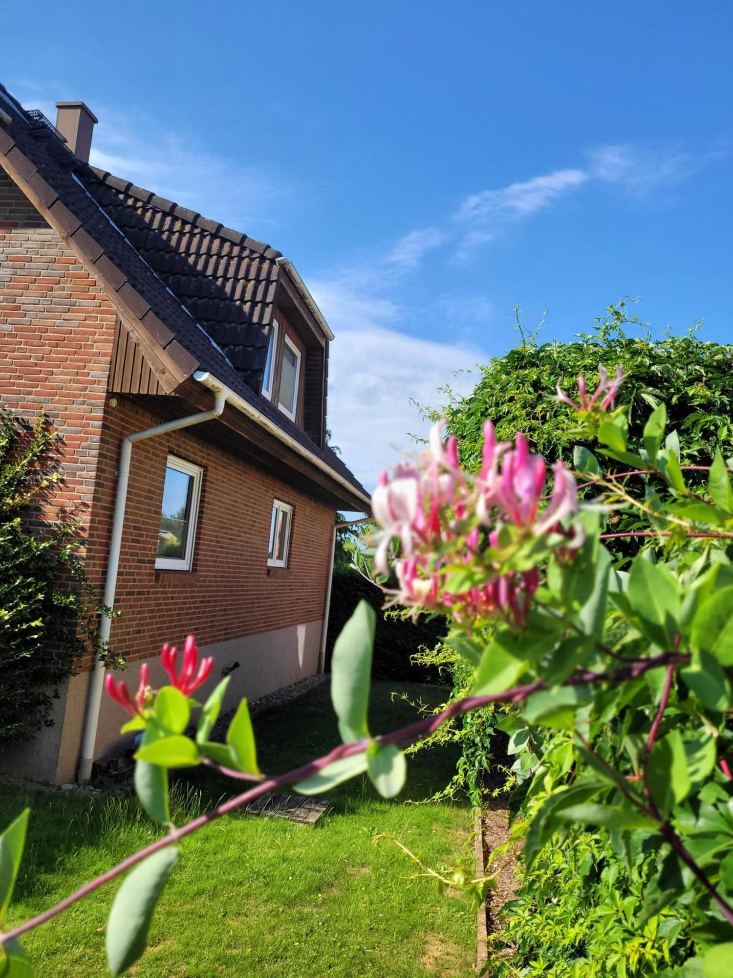 Ferienwohnung Teschow 테스코우 외부 사진