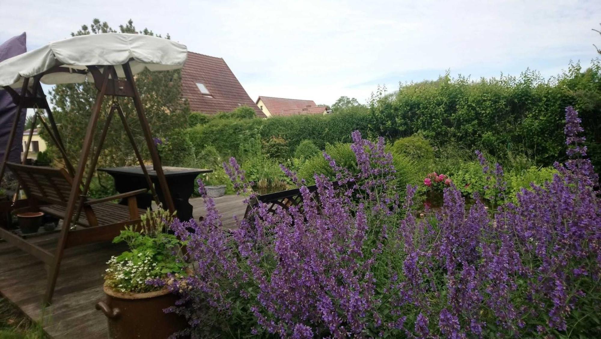 Ferienwohnung Teschow 테스코우 외부 사진